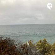 Podcast Pura Plática