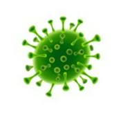 Podcast Quarantine Chronicles: escaping lockdown