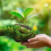 Podcast Saber Ambiental Y Pedagógico