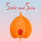 Podcast Seele und Sein Podcast