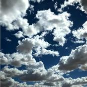 Podcast Serotonin Readings