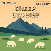 Podcast Sheep Stories