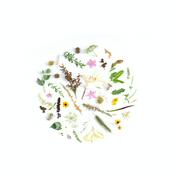 Podcast شروع دوباره
