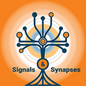 Podcast Signals &Synapses