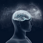 Podcast Sleepy Science