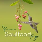 Podcast Soulfood to go