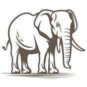 Podcast Spirit of Madikwe - Africa's Majesty