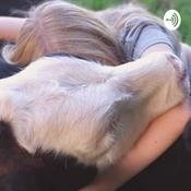 Podcast Stark für Tiere