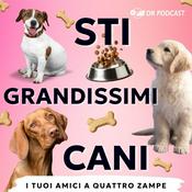 Podcast Sti Grandissimi Cani