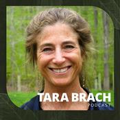 Podcast Tara Brach