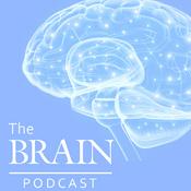 Podcast The Brain Podcast
