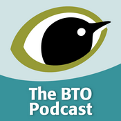 Podcast The BTO Podcast