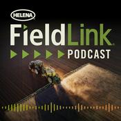 Podcast The FieldLink Podcast