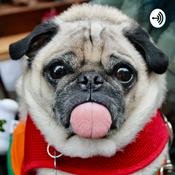 Podcast The Untold Secrets of an Outsider
