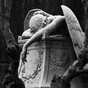 Podcast Varietté Poetica