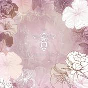 Podcast Verena's Box