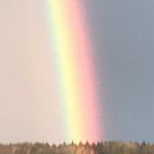 Podcast Wer nicht fragt....Wissen für Kids