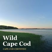 Podcast Wild Cape Cod