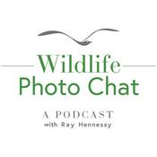 Podcast Wildlife Photo Chat