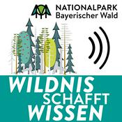 Podcast Wildnis schafft Wissen