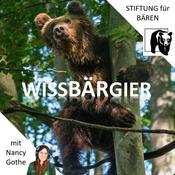 Podcast WissBärGier