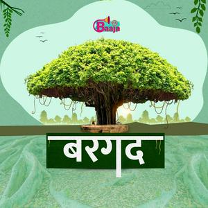 Bargad