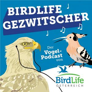 BirdLife Gezwitscher