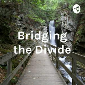 Bridging the Divide