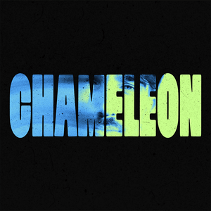 Chameleon
