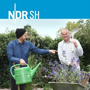 Die Zarten im Garten