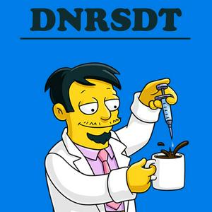 Einschlafen mit den Simpsons (DNRSDT)