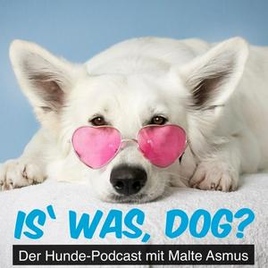 Is&#039; was, dog?