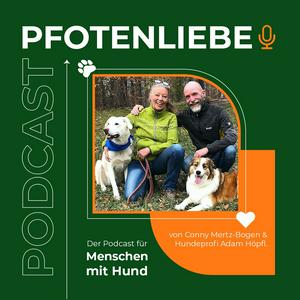 Klartext- Die Wahrheit über Fehler und Mythen in der Hundeerziehung!