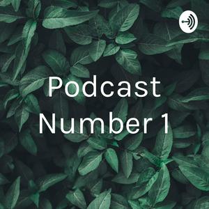 Podcast Number 1
