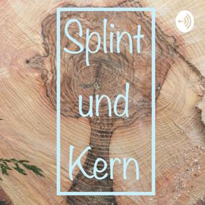 Splint und Kern