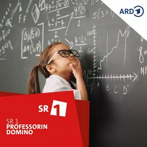 Professorin Domino
