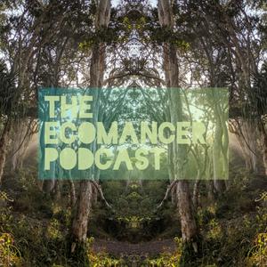 The Ecomancer Podcast