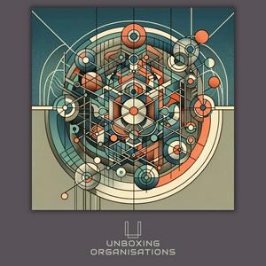 Unboxing Organisations