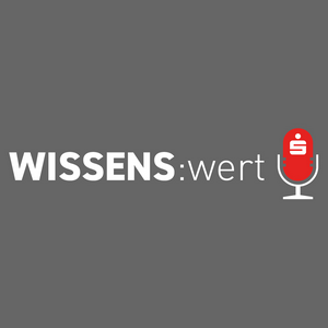 Wissens:Wert