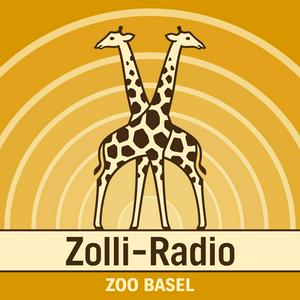 Zolli-Radio
